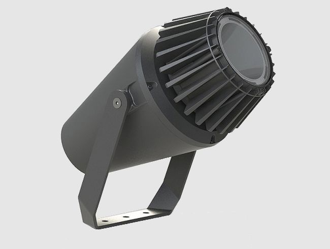 Type 1
