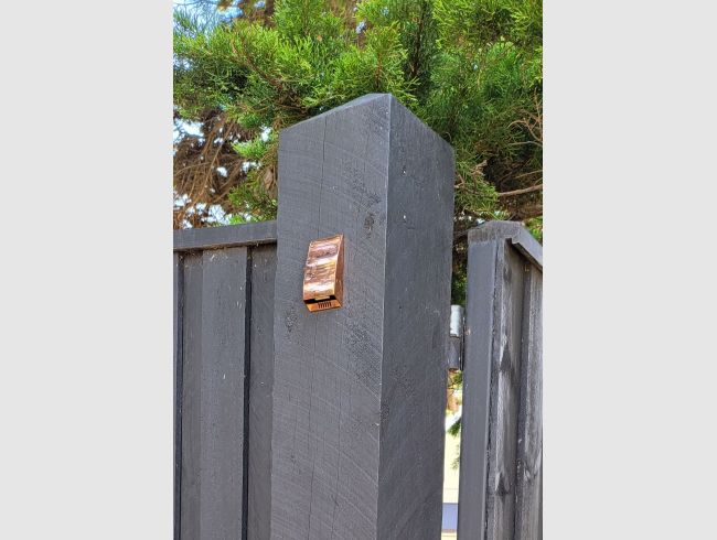 Copper - In situ